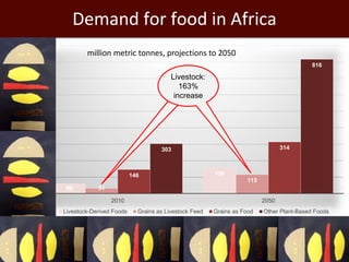 Africa’s agricultural development promises much more than food security