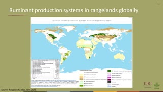 11
Ruminant production systems in rangelands globally
Source: Rangelands Atlas, ILRI, 2021
 