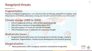 14
Rangeland threats
Fragmentation
Pressures to fragment rangelands for more intensive land uses (fencing, conversion to cropping, road/
infrastructure construction, urbanization, mining, etc.) threaten pastoral mobility around the world
Climate change (2000 to 2050)
• 12% of rangelands will lose >20% of their growing periods
• 16% will have maximum temperatures above 35oC
• 31% will surpass 1 or more of 3 climate thresholds
• 75% of livestock losses in drylands are caused by drought
Biodiversity losses
• Rangeland biodiversity losses are increasing due to climate change, cropland
expansion, fragmentation, infrastructural development and livestock grazing
Marginalization
• Many pastoralists suffer ecological, economic and political marginality
 
