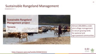 19
Sustainable Rangeland Management
https://cgspace.cgiar.org/handle/10568/101211
Almost 200,000ha under
joint village management
to secure grazing lands
for pastoral and
agro-pastoral communities
 