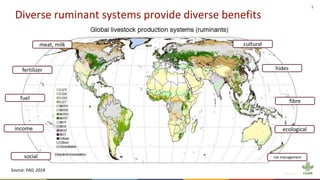 5
Diverse ruminant systems provide diverse benefits
meat, milk
fibre
hides
fertilizer
fuel
income
social
cultural
ecological
risk management
Source: FAO, 2018
 