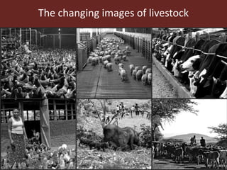 The changing images of livestock in development