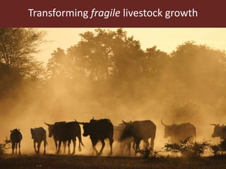 The changing images of livestock in development