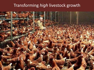 The changing images of livestock in development