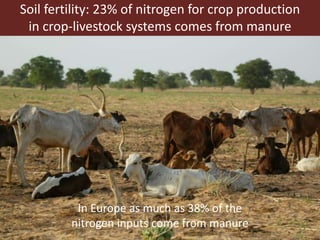 Global food and nutrition security to population stabilization: Contributions of the developing world’s livestock sector