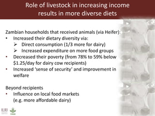 Global food and nutrition security to population stabilization: Contributions of the developing world’s livestock sector