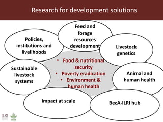 Research for development solutions
• Food & nutritional
security
• Poverty eradication
• Environment &
human health
Policies,
institutions and
livelihoods
Sustainable
livestock
systems
Feed and
forage
resources
development Livestock
genetics
Animal and
human health
Impact at scale BecA-ILRI hub
 