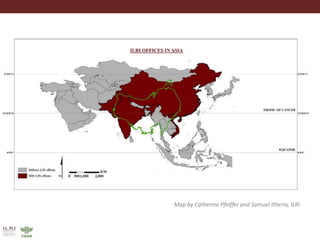 Global food and nutrition security to population stabilization: Contributions of the developing world’s livestock sector