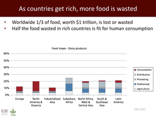 Healthy people, animals and ecosystems for global food and nutritional security 
