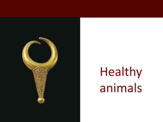 Healthy people, animals and ecosystems for global food and nutritional security 