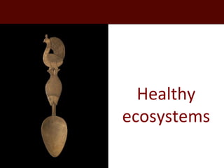 Healthy people, animals and ecosystems for global food and nutritional security 