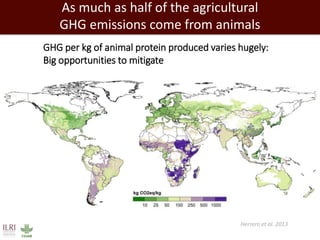 Healthy people, animals and ecosystems for global food and nutritional security 