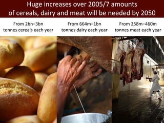 Healthy people, animals and ecosystems for global food and nutritional security 