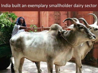 Sustainable global animal agriculture: Building on India’s successes