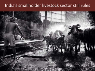 Sustainable global animal agriculture: Building on India’s successes