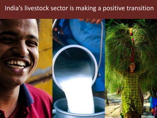 Sustainable global animal agriculture: Building on India’s successes