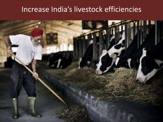 Sustainable global animal agriculture: Building on India’s successes
