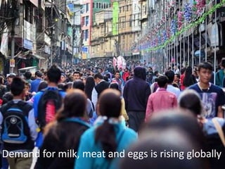 Sustainable global animal agriculture: Building on India’s successes