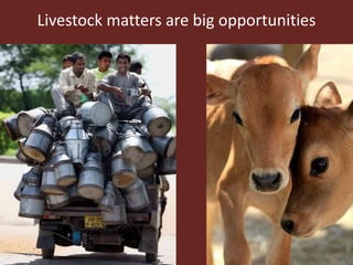 Sustainable global animal agriculture: Building on India’s successes