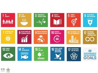 Livestock: Opportunities for addressing global development challenges