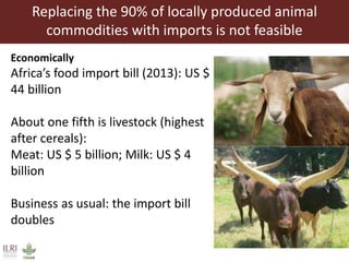 Livestock: Opportunities for addressing global development challenges