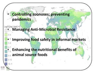 Livestock: Opportunities for addressing global development challenges