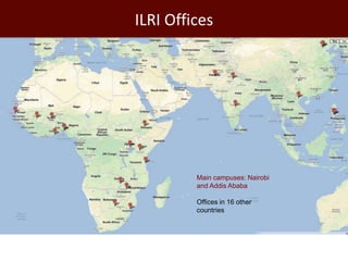 Livestock: Opportunities for addressing global development challenges