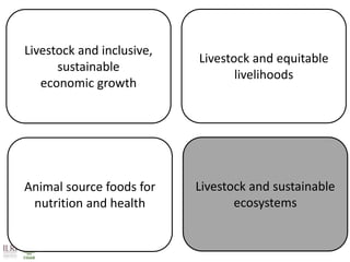 Livestock: Opportunities for addressing global development challenges
