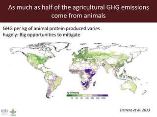 Livestock: Opportunities for addressing global development challenges