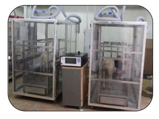 Livestock: Opportunities for addressing global development challenges