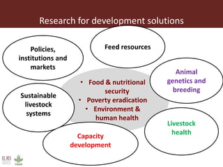 Livestock: Opportunities for addressing global development challenges