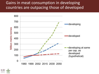 Livestock: Opportunities for addressing global development challenges