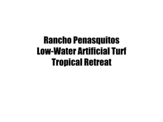Rancho Penasquitos Low-Water Artificial Turf Tropical Retreat 