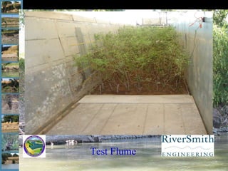 Test Flume 