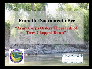 From the Sacramento Bee “ Army Corps Orders Thousands of Trees Chopped Down” 