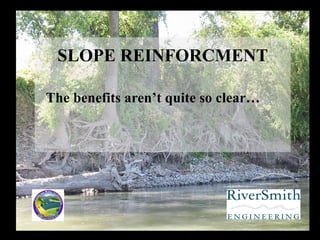 SLOPE REINFORCMENT The benefits aren’t quite so clear… 