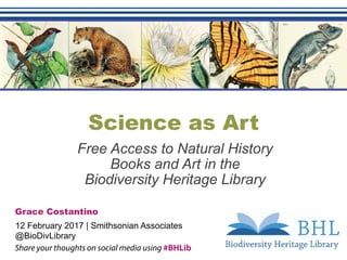 Science as Art
Free Access to Natural History
Books and Art in the
Biodiversity Heritage Library
Grace Costantino
12 February 2017 | Smithsonian Associates
@BioDivLibrary
Share your thoughts on social media using #BHLib
 