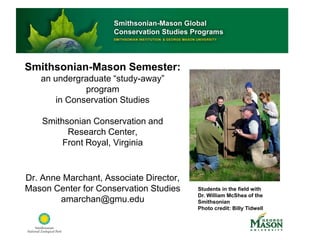 Smithsonian-Mason Semester:
   an undergraduate “study-away”
              program
       in Conservation Studies

    Smithsonian Conservation and
          Research Center,
         Front Royal, Virginia


Dr. Anne Marchant, Associate Director,
Mason Center for Conservation Studies    Students in the field with
                                         Dr. William McShea of the
        amarchan@gmu.edu                 Smithsonian
                                         Photo credit: Billy Tidwell
 