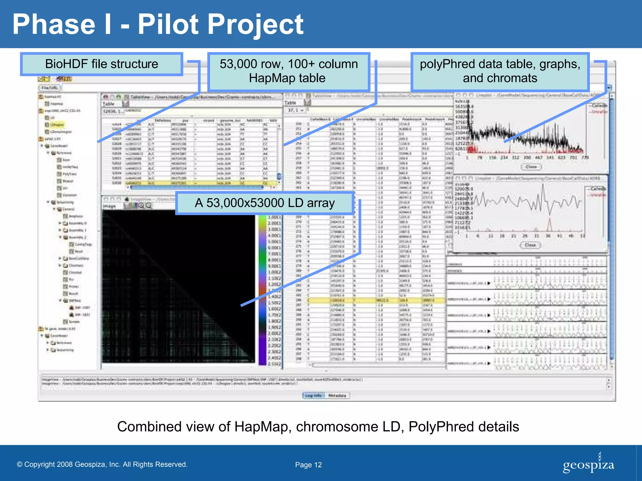 Phase I - Pilot Project Combined view of HapMap, chromosome LD, PolyPhred details A 53,000x53000 LD array BioHDF file structure 53,000 row, 100+ column HapMap table  polyPhred data table, graphs, and chromats 