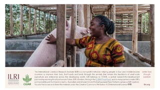 Perspectives on livestock and One Health