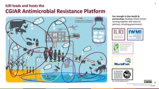 Perspectives on livestock and One Health