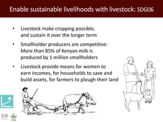 Enable sustainable livelihoods with livestock: SDG06
• Livestock make cropping possible,
and sustain it over the longer te...