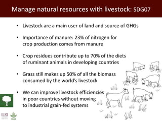 Improving environmental sustainability of livestock systems in the developing world