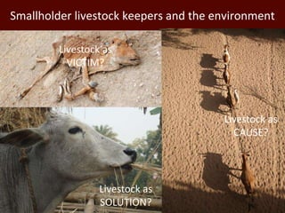 Improving environmental sustainability of livestock systems in the developing world