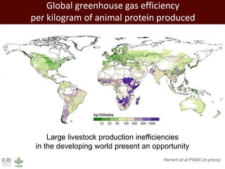 Improving environmental sustainability of livestock systems in the developing world