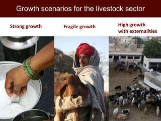 Improving environmental sustainability of livestock systems in the developing world