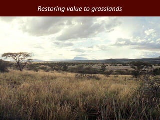 Improving environmental sustainability of livestock systems in the developing world