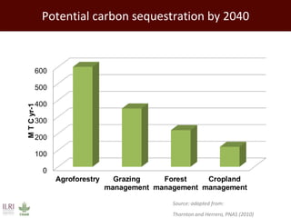 Improving environmental sustainability of livestock systems in the developing world