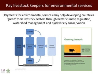Pay livestock keepers for environmental services
Payments for environmental services may help developing countries
‘green’...