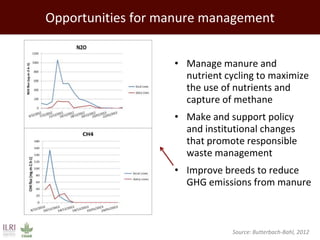 Opportunities for manure management
• Manage manure and
nutrient cycling to maximize
the use of nutrients and
capture of m...